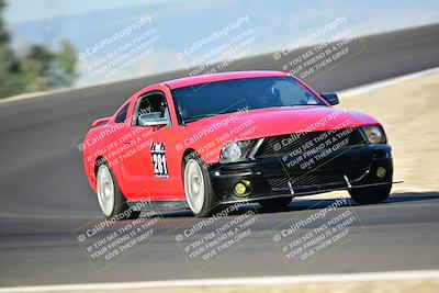 media/Mar-01-2025-Turn8 Trackdays (Sat) [[3bac13d0ad]]/Inter 3/Session 1 (Turns 2 and 3)/